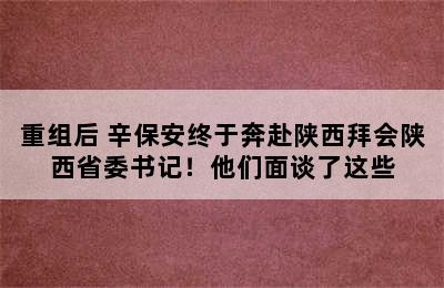 重组后 辛保安终于奔赴陕西拜会陕西省委书记！他们面谈了这些